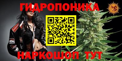 ПСИЛОЦИБИНОВЫЕ ГРИБЫ Заводоуковск