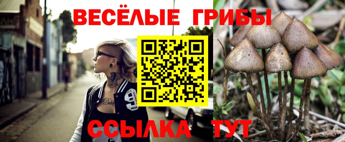 Галлюциногенные грибы ЛСД  Вход с VPN  Киров  Псилоцибиновые грибы GOLDEN TEACHER 