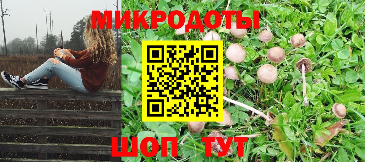 Псилоцибиновые грибы MAGIC MUSHROOMS Киров